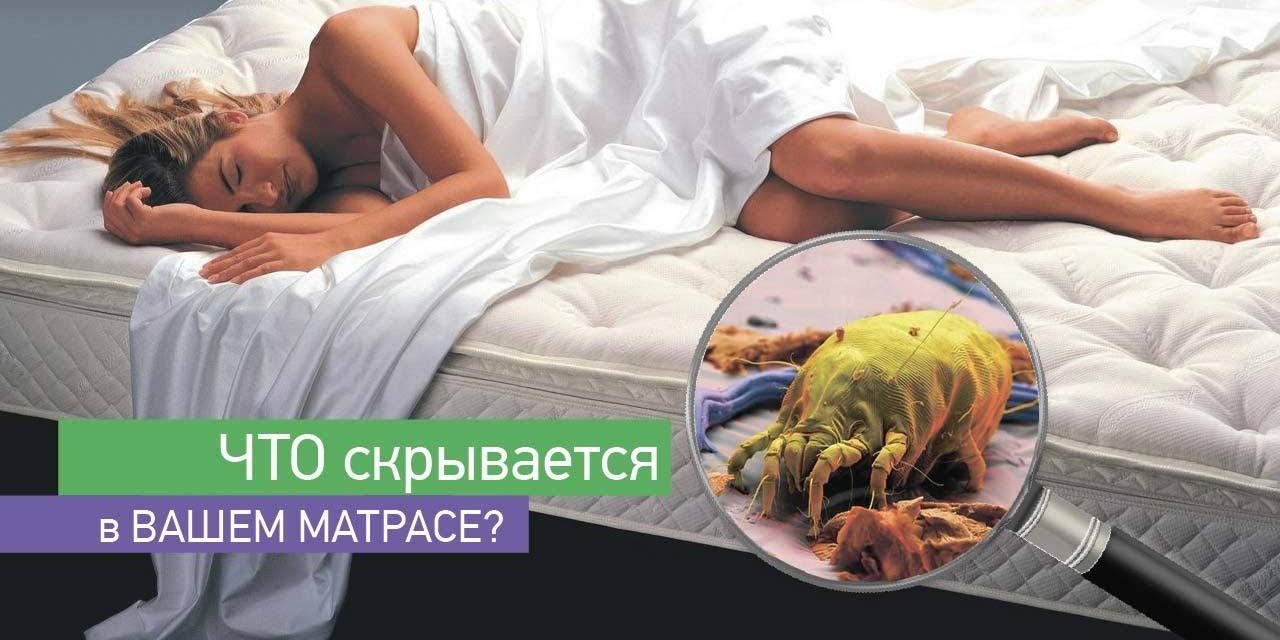 Клещи Химчистка